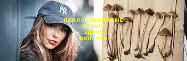 PSILOCYBIN Красноперекопск