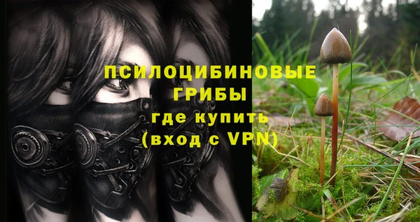 spice Краснотурьинск